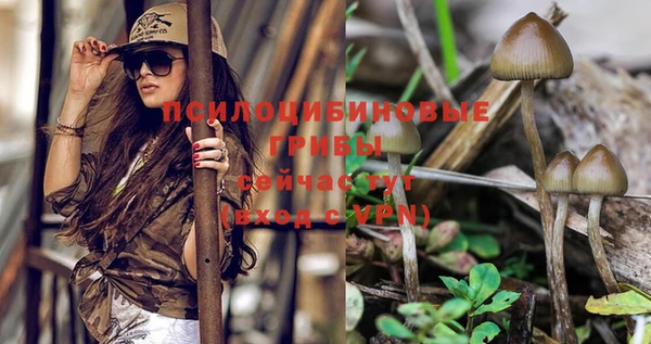 mix Надым