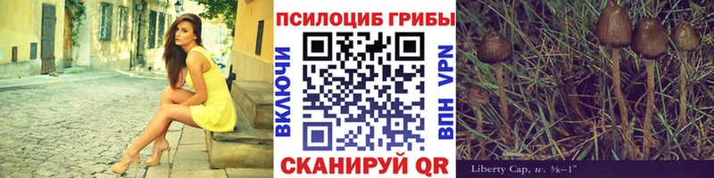 KRAKEN ссылки  Приморско-Ахтарск  сайты даркнета как зайти  Галлюциногенные грибы Psilocybine cubensis 
